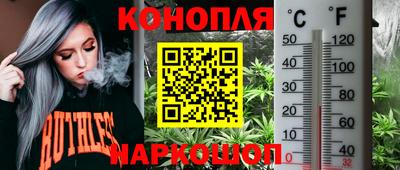 МДПВ Аргун