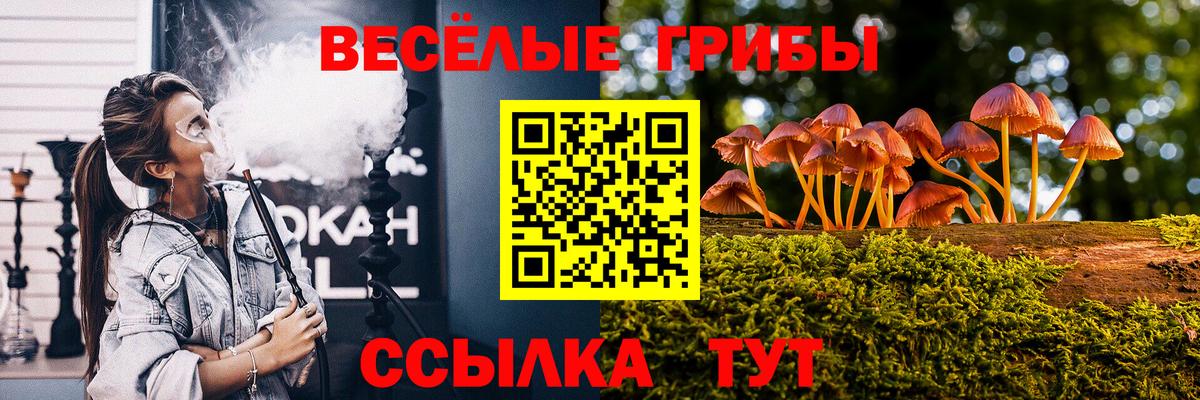 Псилоцибиновые грибы мухоморы Балабаново