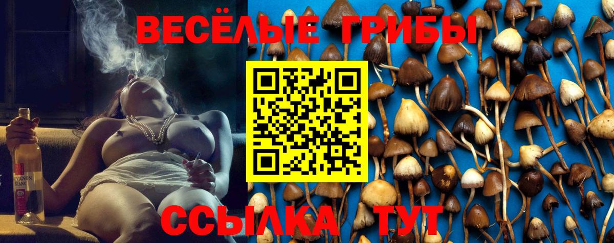 Псилоцибиновые грибы ЛСД  даркнет сайт  Балабаново  Вход с VPN  Псилоцибиновые грибы прущие грибы 
