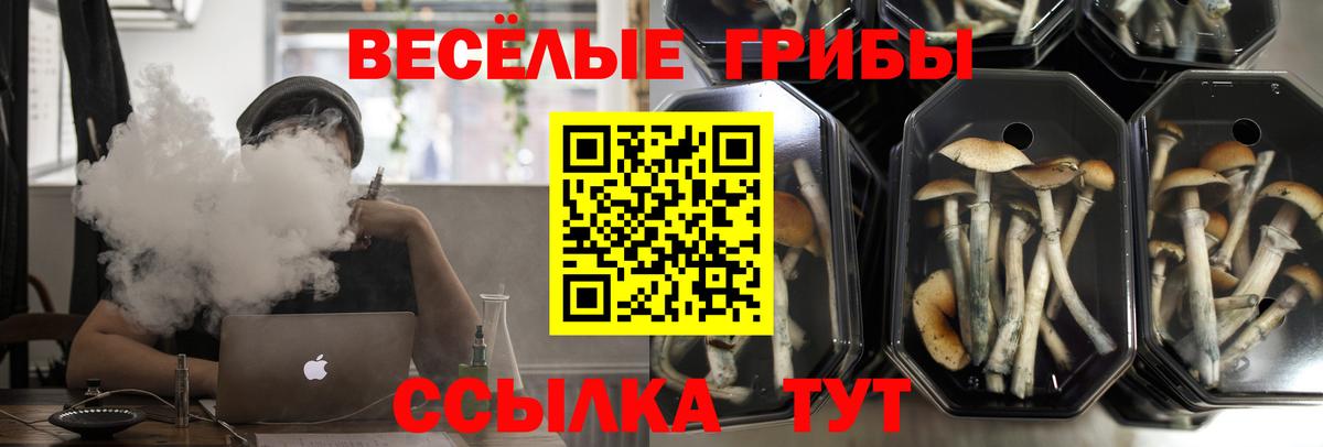 Галлюциногенные грибы Psilocybe  Балабаново  Галлюциногенные грибы Magic Shrooms 